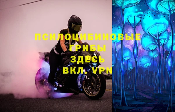2c-b Бородино
