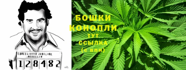 индика Верхнеуральск
