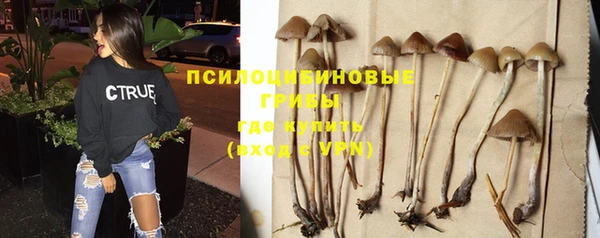 индика Верхнеуральск