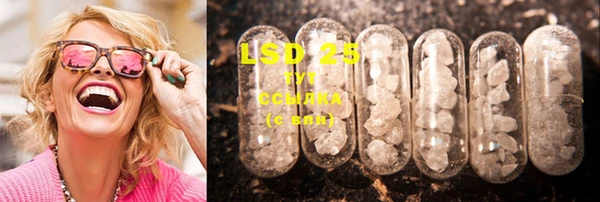 2c-b Бородино