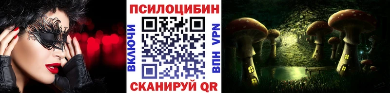 Галлюциногенные грибы Magic Shrooms  купить наркотик  Новосокольники 